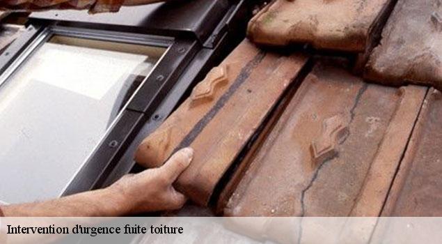 Intervention d'urgence fuite toiture sannes-84240 JS Renov Habitat
