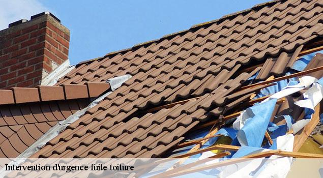 Intervention d'urgence fuite toiture   villars-84400 JS Renov Habitat 