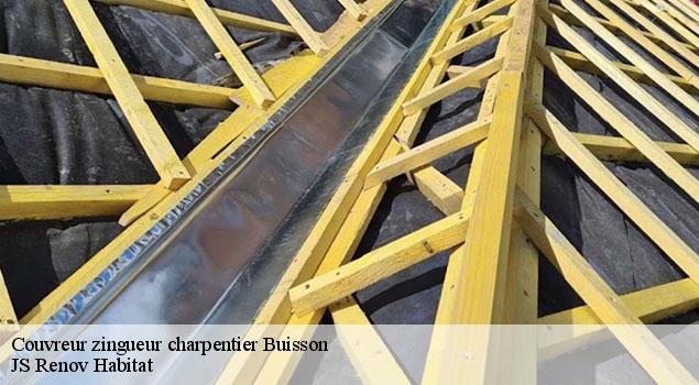 Couvreur zingueur charpentier  buisson-84110 JS Renov Habitat 