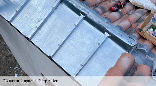 Couvreur zingueur charpentier  lapalud-84840 JS Renov Habitat 