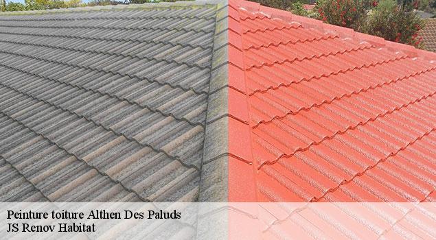 Peinture toiture  althen-des-paluds-84210 JS Renov Habitat 