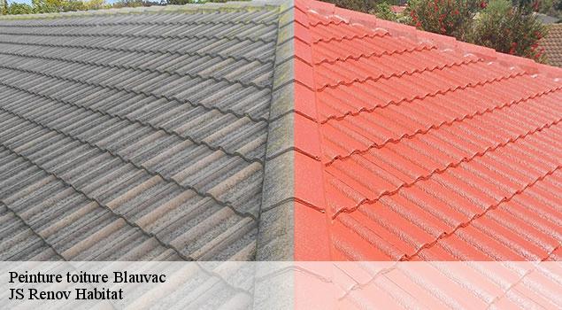 Peinture toiture  blauvac-84570 JS Renov Habitat 