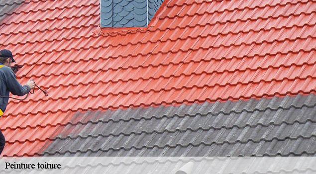 Peinture toiture  brantes-84390 JS Renov Habitat 