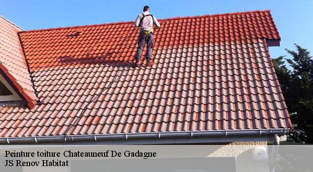 Peinture toiture  chateauneuf-de-gadagne-84470 JS Renov Habitat 