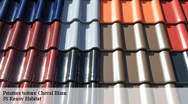 Peinture toiture  cheval-blanc-84460 JS Renov Habitat 