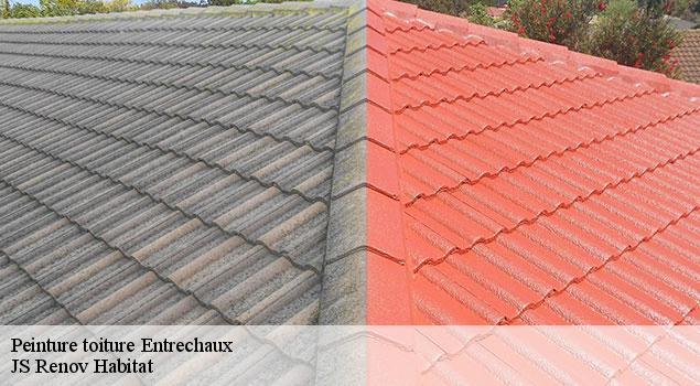 Peinture toiture  entrechaux-84340 JS Renov Habitat 