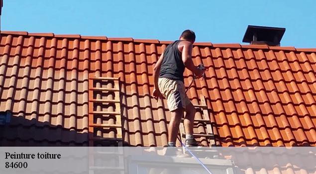 Peinture toiture  grillon-84600 JS Renov Habitat 
