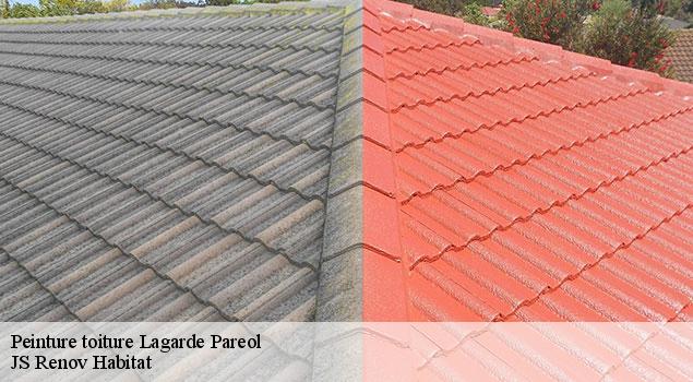 Peinture toiture  lagarde-pareol-84290 JS Renov Habitat 