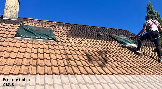 Peinture toiture  lagarde-pareol-84290 JS Renov Habitat 