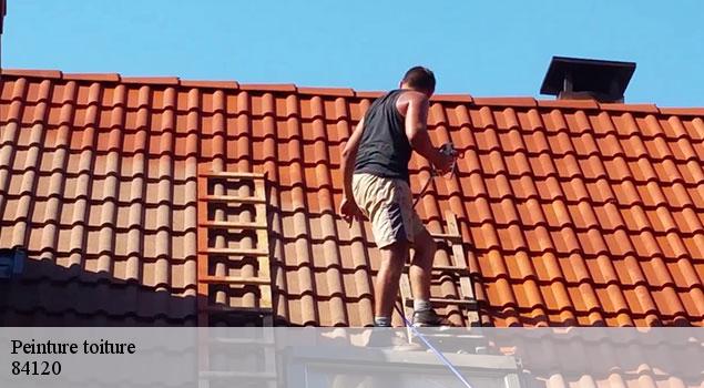 Peinture toiture  mirabeau-84120 JS Renov Habitat 