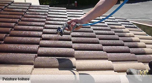 Peinture toiture  rustrel-84400 JS Renov Habitat 