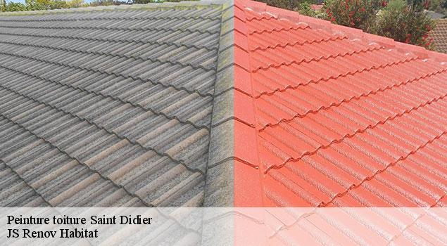 Peinture toiture  saint-didier-84210 JS Renov Habitat 