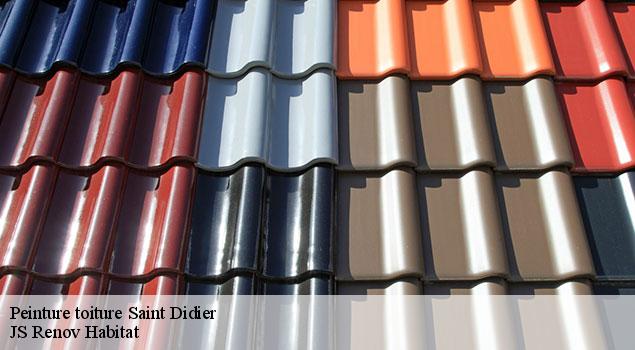 Peinture toiture  saint-didier-84210 JS Renov Habitat 