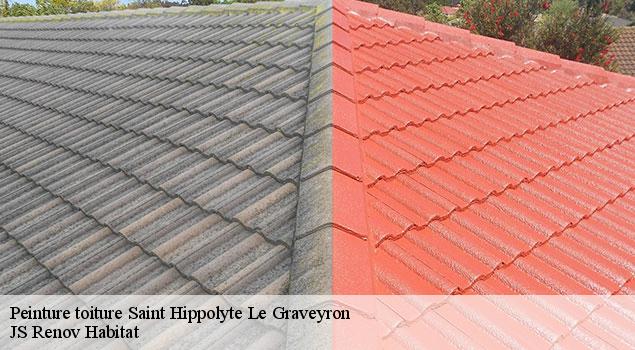 Peinture toiture  saint-hippolyte-le-graveyron-84330 JS Renov Habitat 