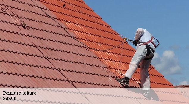 Peinture toiture  saint-leger-du-ventoux-84390 JS Renov Habitat 