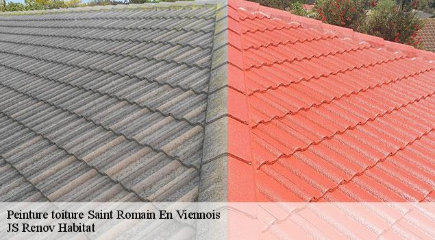 Peinture toiture  saint-romain-en-viennois-84110 JS Renov Habitat 