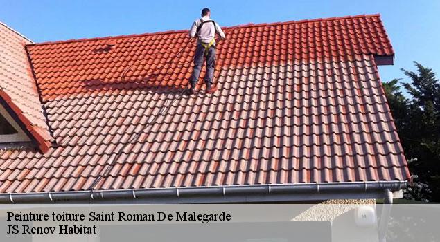 Peinture toiture  saint-roman-de-malegarde-84290 JS Renov Habitat 