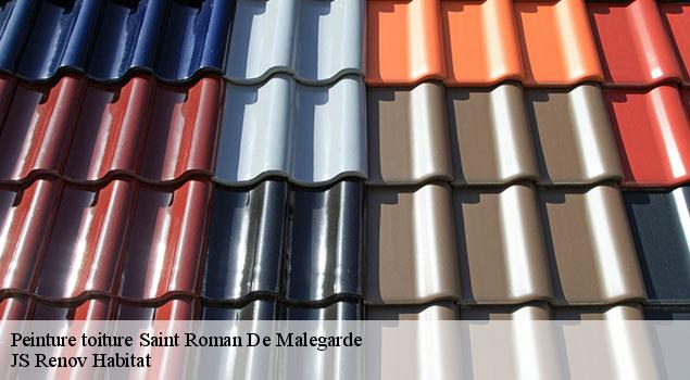 Peinture toiture  saint-roman-de-malegarde-84290 JS Renov Habitat 