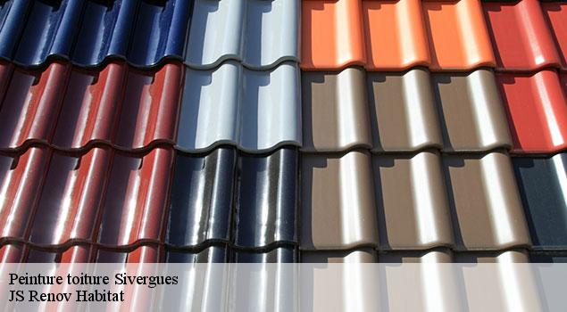Peinture toiture  sivergues-84400 JS Renov Habitat 
