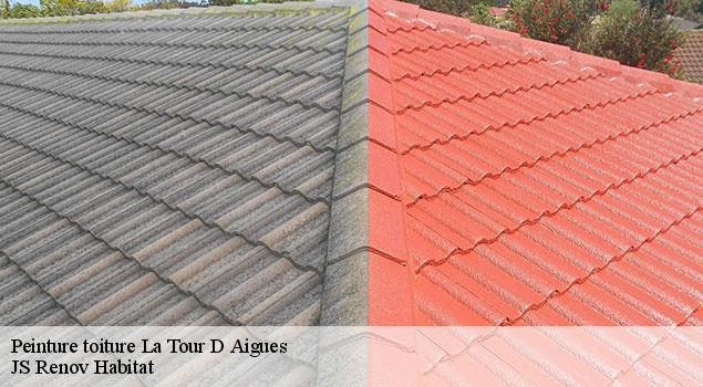 Peinture toiture  la-tour-d-aigues-84240 JS Renov Habitat 