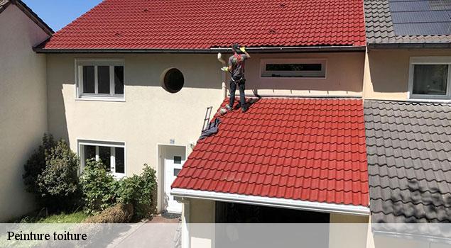 Peinture toiture  visan-84820 JS Renov Habitat 