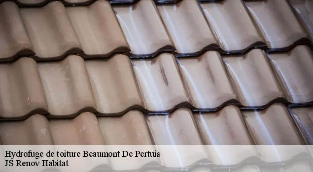 Hydrofuge de toiture  beaumont-de-pertuis-84120 JS Renov Habitat 