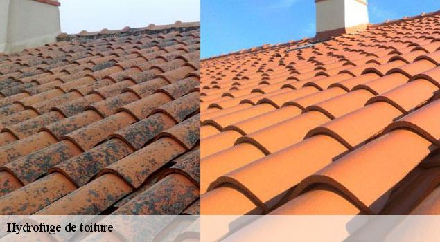 Hydrofuge de toiture  crillon-le-brave-84410 JS Renov Habitat 