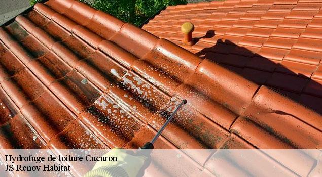Hydrofuge de toiture  cucuron-84160 JS Renov Habitat 