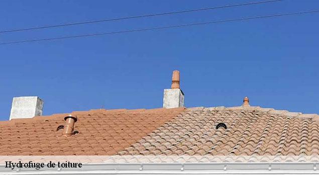 Hydrofuge de toiture  lourmarin-84160 JS Renov Habitat 