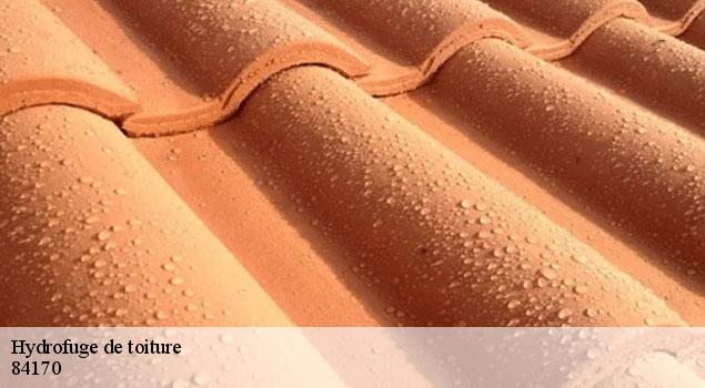 Hydrofuge de toiture  monteux-84170 JS Renov Habitat 