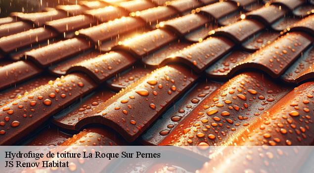 Hydrofuge de toiture  la-roque-sur-pernes-84210 JS Renov Habitat 