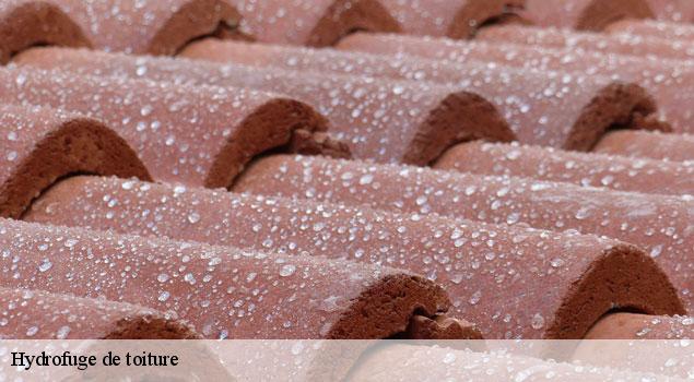 Hydrofuge de toiture  saint-hippolyte-le-graveyron-84330 JS Renov Habitat 