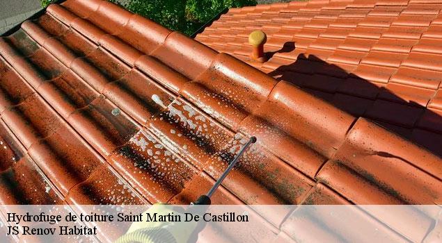 Hydrofuge de toiture  saint-martin-de-castillon-84750 JS Renov Habitat 