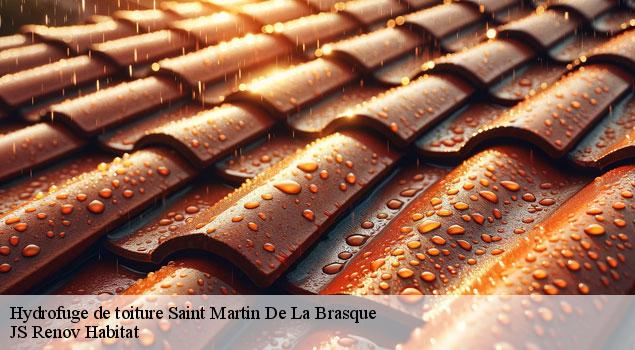 Hydrofuge de toiture  saint-martin-de-la-brasque-84760 JS Renov Habitat 