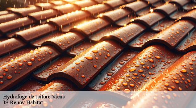 Hydrofuge de toiture  viens-84750 JS Renov Habitat 
