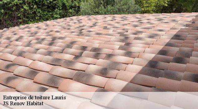 Entreprise de toiture  lauris-84360 JS Renov Habitat 
