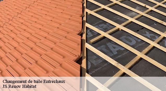 Changement de tuile entrechaux-84340 JS Renov Habitat