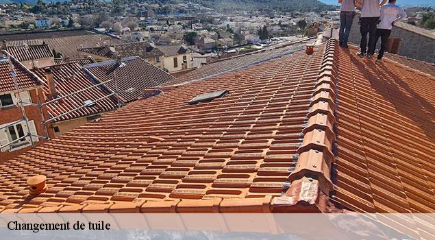 Changement de tuile  gargas-84400 JS Renov Habitat 