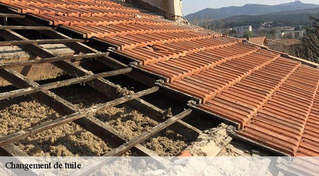 Changement de tuile  jonquerettes-84450 JS Renov Habitat 