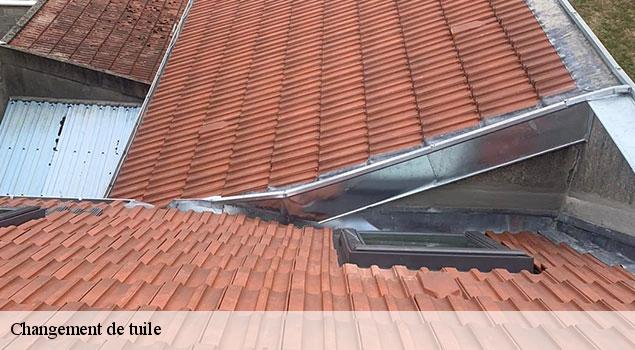 Changement de tuile  lacoste-84480 JS Renov Habitat 