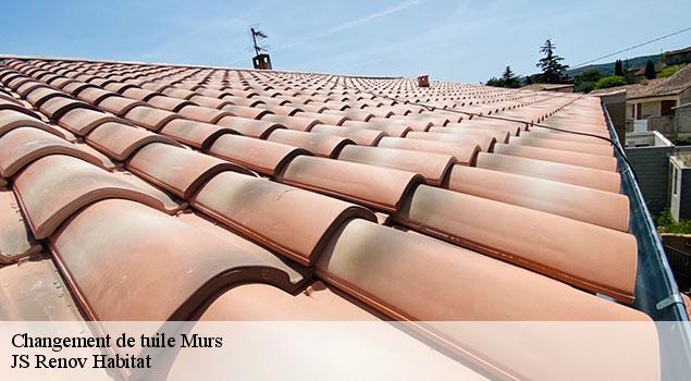 Changement de tuile  murs-84220 JS Renov Habitat 