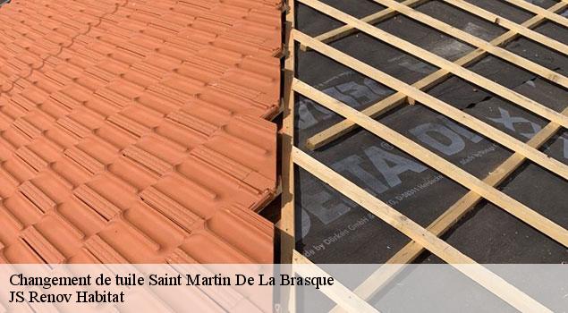 Changement de tuile  saint-martin-de-la-brasque-84760 JS Renov Habitat 