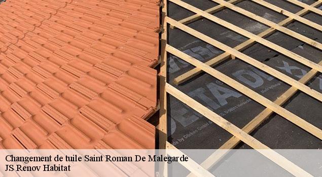 Changement de tuile  saint-roman-de-malegarde-84290 JS Renov Habitat 