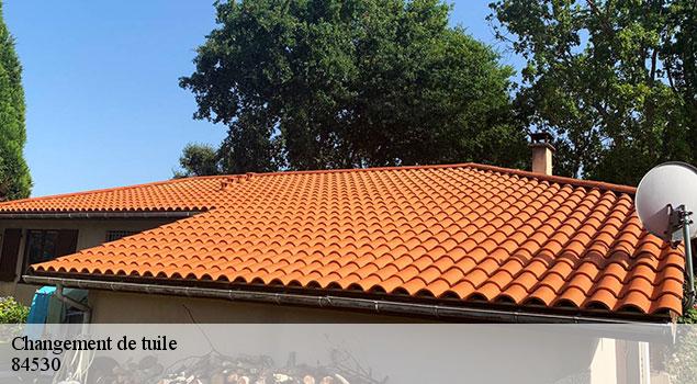 Changement de tuile  villelaure-84530 JS Renov Habitat 