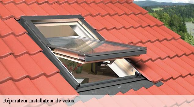 Réparateur installateur de velux  cadenet-84160 JS Renov Habitat 